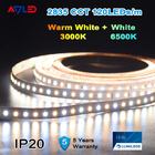 Dynamic Tunable White LED Strip Light 12V Waterproof